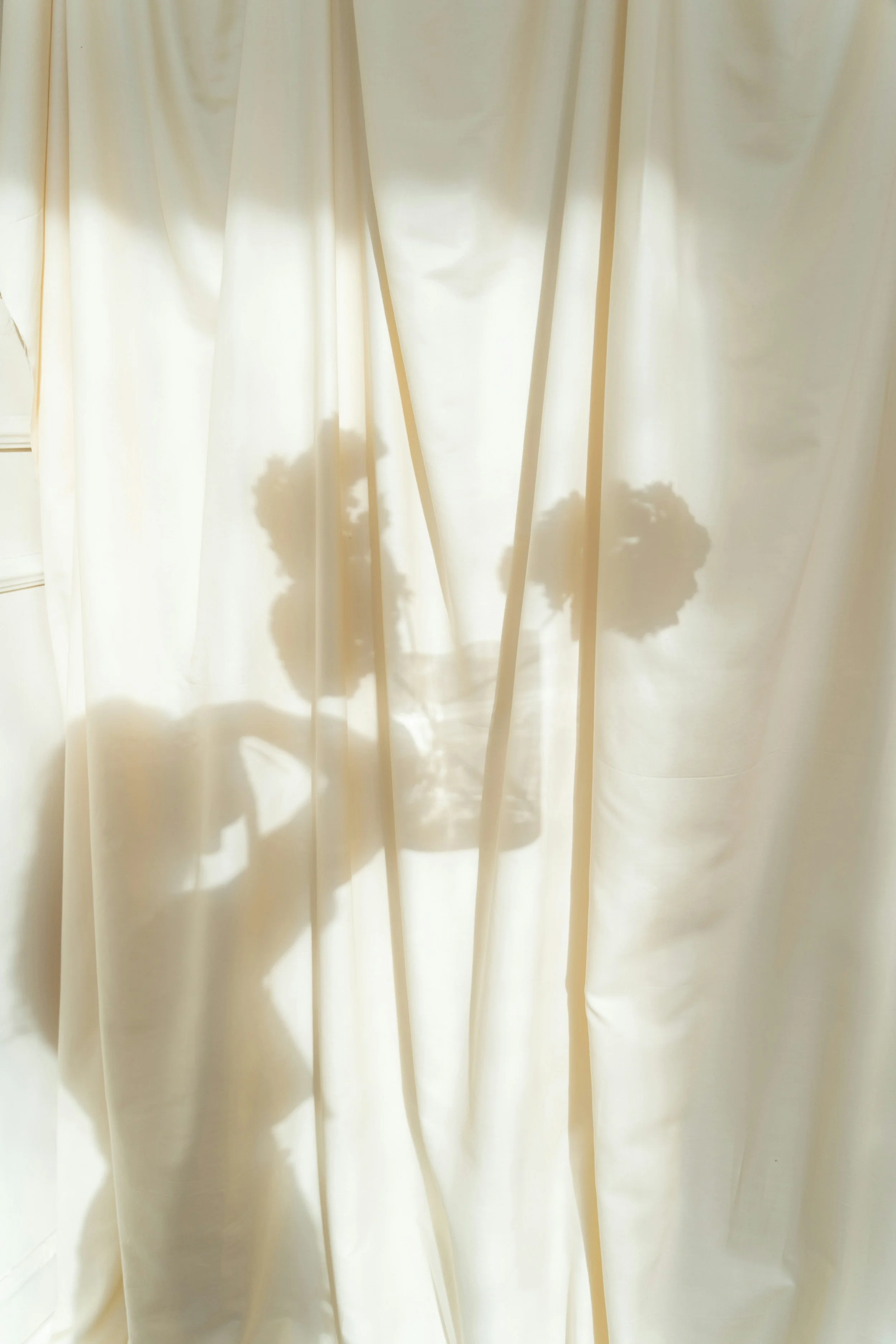 Shadows of a potted plant cast on a cream curtain