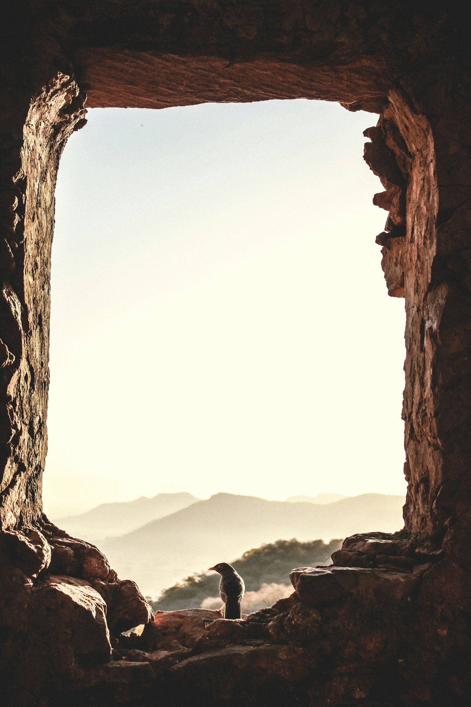 The Zion I Choose